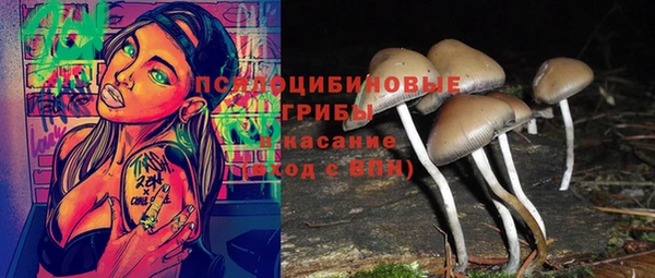 синтетический гашиш Армянск